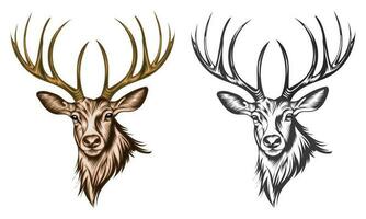 Deer head hunting vector illustration set, colorfull and black