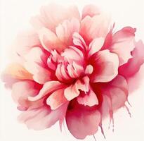 Watercolor beautiful peony flower. Illustration photo