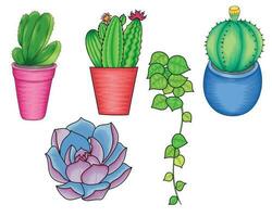 Different cactus on pot and succulent vector illustration on transparent background