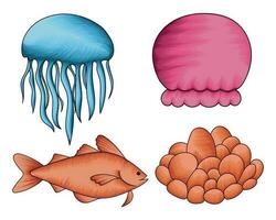 Sea life sea creature collection set, sea animals vector collection