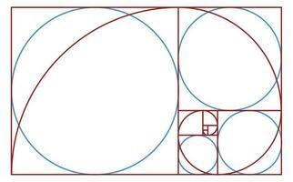 golden ration formula vector template