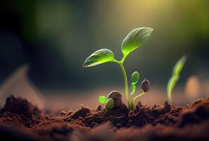 plántulas brote desde el suelo. naturaleza y vida concepto. generativo ai foto