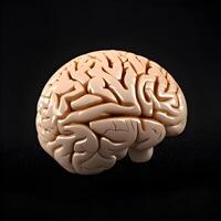 humano cerebro modelo aislado en negro. generativo ai foto