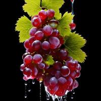 Amazing bunch of Grapes with water splash and drops isolated, photo