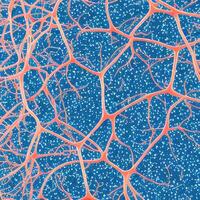 Neuron cell network model. photo