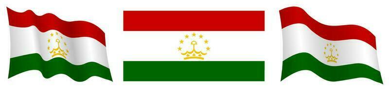 flag of Tajikistan in static position and in motion, fluttering in wind in exact colors and sizes, on white background vector