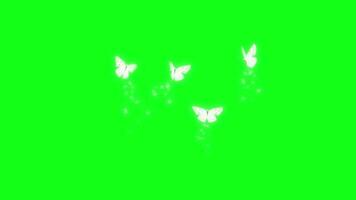 white butterflies flying animation on green background. free Video