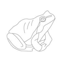 Frog Line art vector Illustration, Frog Vector Illustration