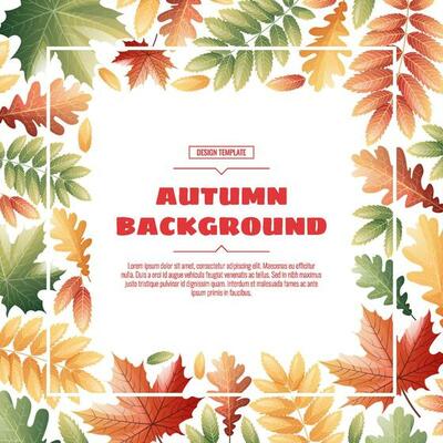 Square frame with autumn leaves of maple, rowan, oak. Autumn background with variegated foliage. Suitable for banners, cards, flyers, etc.
