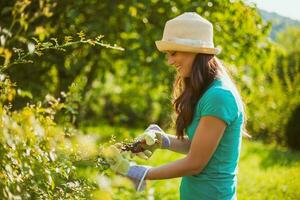 un joven mujer jardinería foto