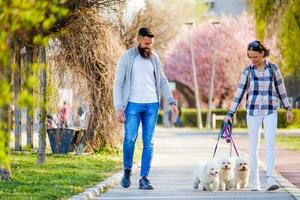 A couple walking their dogs photo