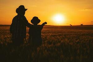 Father and son standing in a wheat field photo