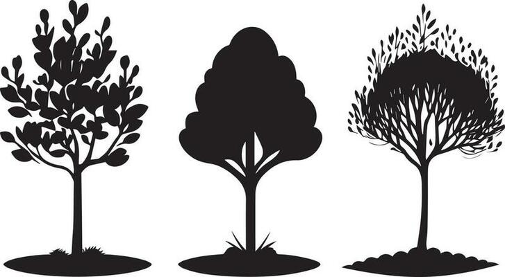 Vector Set of plant and tree silhouette illustration, Minimalist tree silhouette set