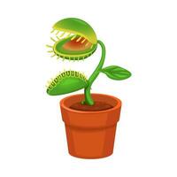 Carnivorous Plant on Pot Cartoon illutration vector