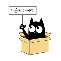 negro cómic gato sentado en el caja y participación cartel con Schrödinger ecuación. Schrödinger pensamiento experimentar dónde el gato es ambos viva y muerto gracioso concepto. vector ilustración.