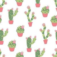 vector illustration seamless pattern of stylized indoor blooming cacti. Flowering succulents in pots on white background