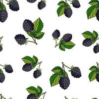 vector ilustración de un sin costura modelo moras con hojas en un blanco antecedentes