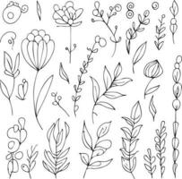 hermosa monocromo negro y blanco botánico elementos aislado en blanco. dibujado a mano hojas conjunto y, botánico vector Arte. minimilis hoja dibujando, sencillo botánico describir.