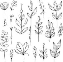 Hand-drawn botanical elements, wildflower bouquet, vector sketch illustration engraved ink art botanical leaf branch collection isolated on white background coloring page and books. botanical leaf l