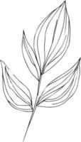 Botanical artwork decor, vector set of botanical leaf simple outline sketch doodle hand drawn illustration, botanical drawings of flowers, botanical drawings of wildflowers, botanical drawings.