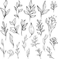 Beautiful monochrome black and white botanical elements isolated on white. Hand-drawn leafs set and, botanical vector art. minimilis leaf drawin, simple botanical outline.