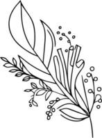 mano dibujado botánico elementos, vector