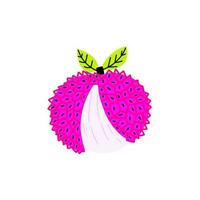 Tropical juicy fruit lychee with open peel and leaves vector