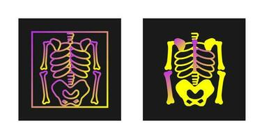 Skeleton Vector Icon