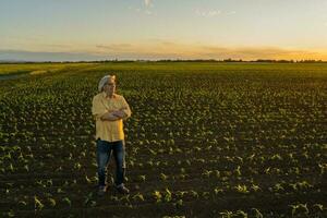 Farmer standing in a corn field photo