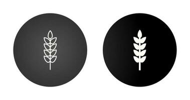 Wheat Vector Icon