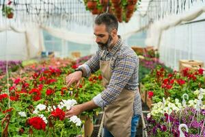 The owner of a flower greenhouse photo