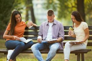 Friends spending time outdoors photo