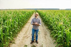 orgulloso granjero es en pie en su creciente maíz campo foto