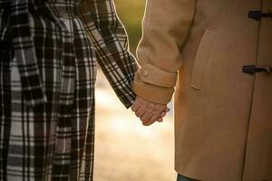 un mayor Pareja gasto hora juntos en el parque foto