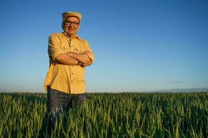Farmer standing in a wheat field photo