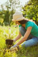 A young woman gardening photo
