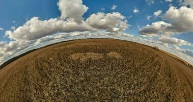 yellow dry little planet transformation with curvature of space among fields in evening day and beautiful clouds video