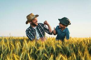 Father and son standing in a wheat field photo