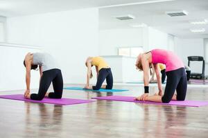 Women doing physical exercises photo