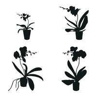 Vector set of realistic flowers orchids, phalaenopsis. Realism modern silhouettes plants pot. Flat design template.