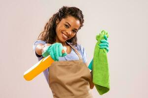 Portrait of a professional maid photo