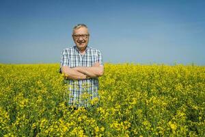 A farmer examining a rapeseed field photo