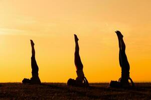 Women doing physical exercises photo