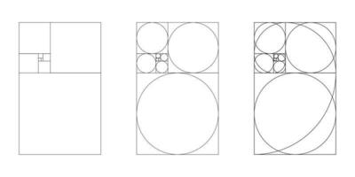 Golden ratio template set. Method golden section. Fibonacci array, numbers. Outline vector illustration. Harmony proportions.