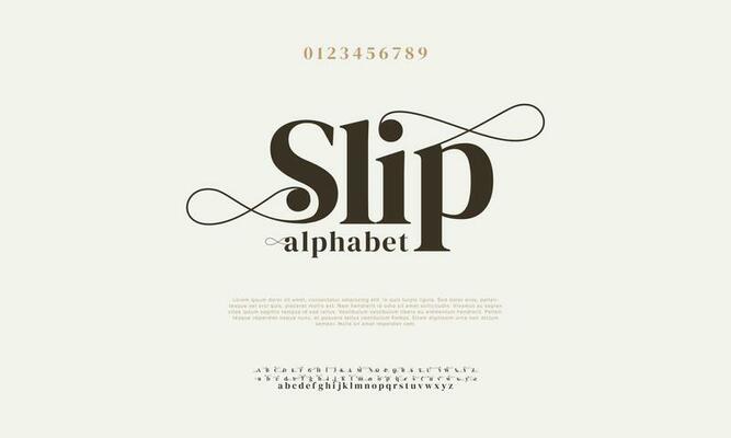 Elegant slip alphabet letters font and number. Classic Lettering Minimal Fashion Designs. Typography modern serif fonts decorative vintage design concept. vector illustration