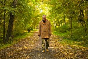 A senior man in the park photo