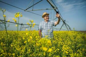 A farmer examining a rapeseed field photo