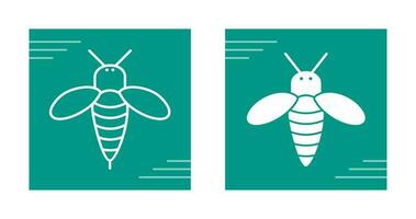 Honey Bee Vector Icon