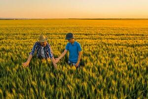 Father and son standing in a wheat field photo