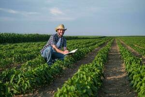 un granjero es examinando su chile plantación foto